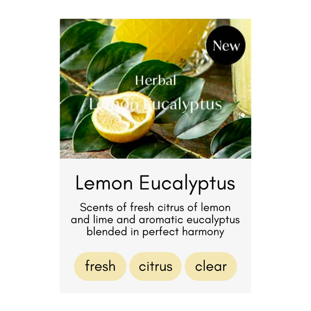 Signature Reed Diffuser 200ml - Lemon Eucalyptus