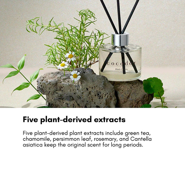 Signature Reed Diffuser 200ml - Pure Cotton
