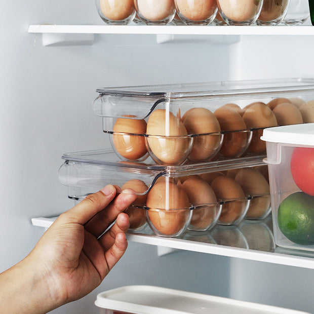 Egg Organizer (21 Grids)